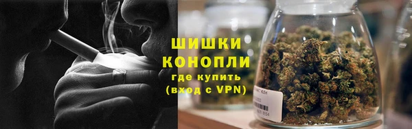 гидра Аркадак
