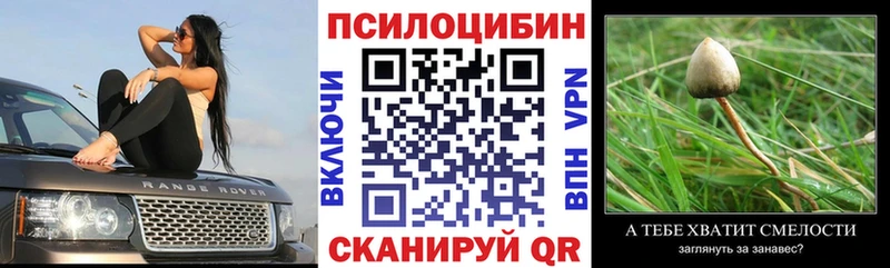 мега ТОР  продажа наркотиков  Абакан  Псилоцибиновые грибы прущие грибы 